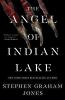 Book cover for "The angel of Indian Lake".