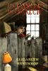 Book cover for "The castle in the attic"