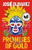 Book cover for "Promises of gold ="