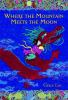 Book cover for "Where the mountain meets the moon".