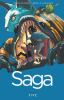 Book cover for "Saga".