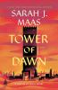 Book cover for "Tower of dawn"