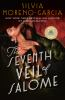 Book cover for "The seventh veil of Salome"