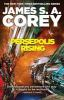 Book cover for "Persepolis rising"