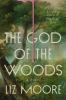 Book cover for "The god of the woods"