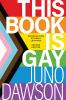 Book cover for "This book is gay"