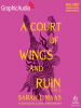 Book cover for "A Court of Wings and Ruin, Part 3"