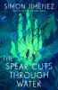 Book cover for "The spear cuts through water"