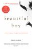 Book cover for "Beautiful boy"