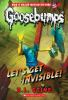 Book cover for "Let's get invisible!".